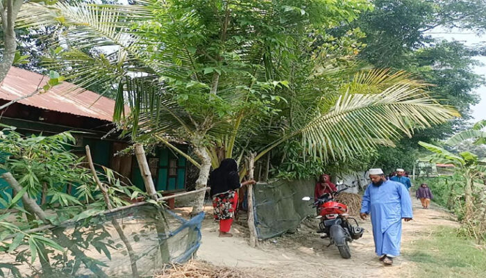 কচুয়ায় মুরগি খুঁজতে গিয়ে সাপের কামড়ে প্রাণ গেল গৃহবধূর