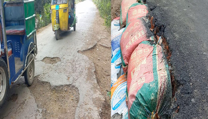 চাঁদপুরে জোড়াতালি দিয়ে দোকানরঘর-হরিণা সড়ক সংস্কার