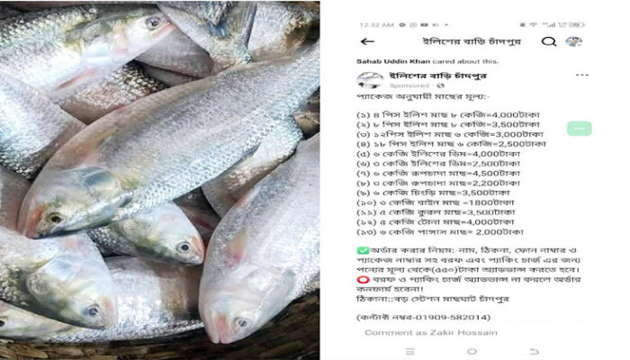 ফেসবুকে চাঁদপুরের ইলিশ বিক্রির বিজ্ঞাপন থেকে সাবধান