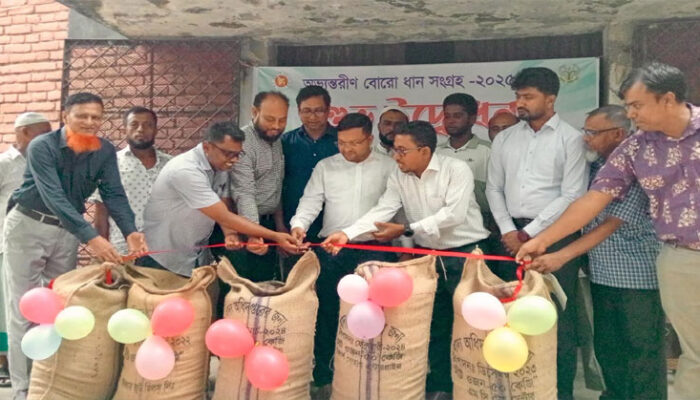 কচুয়ায় অভ্যন্তরীণ বোরো ধান সংগ্রহ অভিযান শুরু