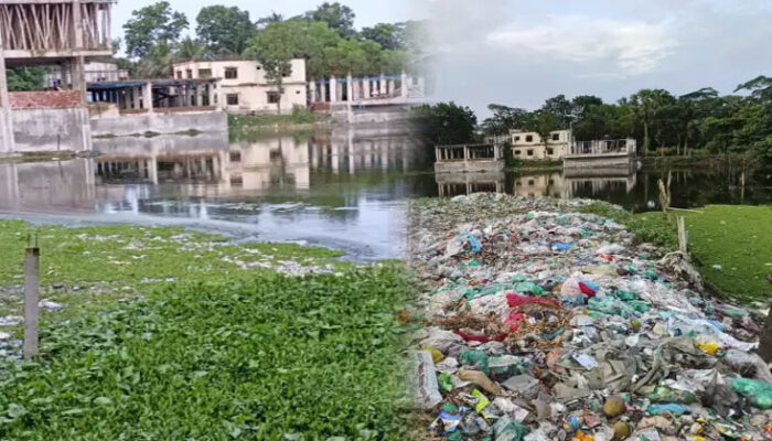দিঘি ভরছে ময়লায়, ফুরাচ্ছে প্রাণ- শাহরাস্তিতে নিঃশব্দ পরিবেশ হ ত্যা