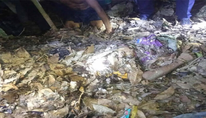 কচুয়ায় বসতঘরে ঢুকে বৃদ্ধাকে কুপিয়ে হ ত্যা