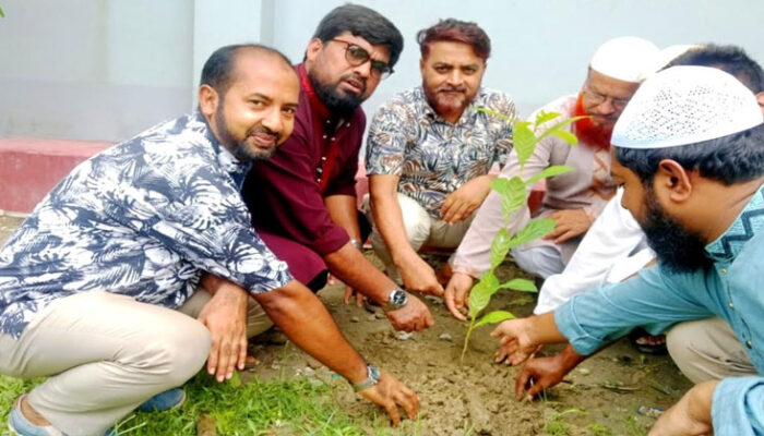 প্রান্তিক সামাজিক সাংস্কৃতিক সংগঠনের বৃক্ষরোপণ ও গাছের চারা বিতরণ
