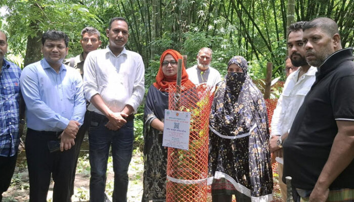 ফরিদগঞ্জে শহীদ জুলাই যোদ্ধার সমাধিতে বৃক্ষরোপণ