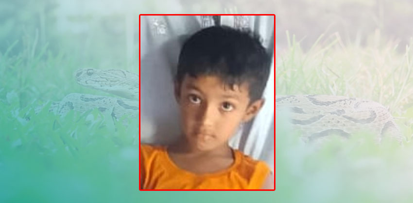 হাজীগঞ্জে ঘরের গর্তে লুকানো সাপের কামড়ে শিশুর মৃত্যু
