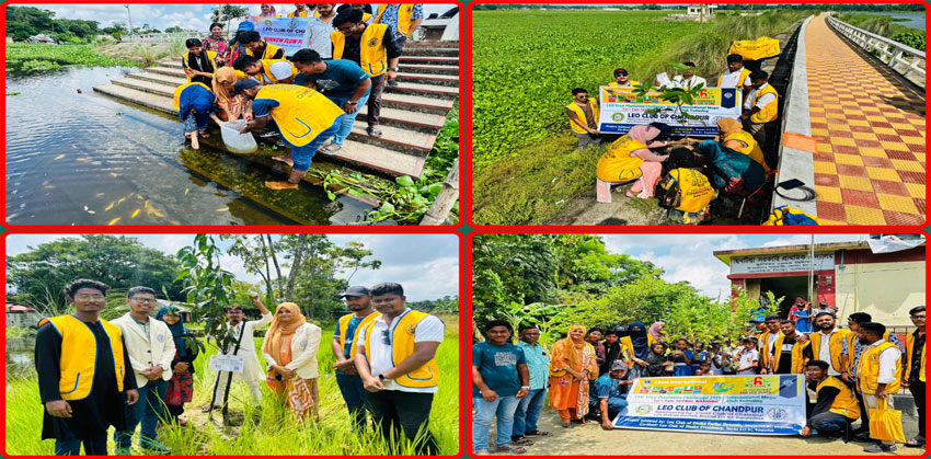 চাঁদপুরে লিও ক্লাবের বৃক্ষরোপণ ও পোনা অবমুক্তকরণ কর্মসূচি
