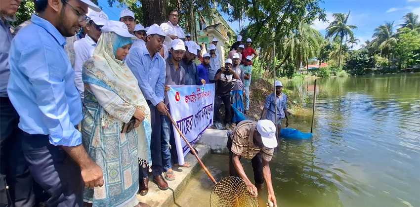 শাহরাস্তিতে মাছের পোনা অবমুক্তকরণ, মৎস্য উৎপাদনে নতুন সম্ভাবনা