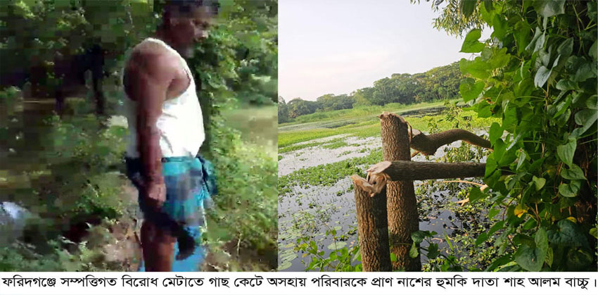 ফরিদগঞ্জ জমি সংক্রান্ত বিরোধ জের, গাছ কর্তন ও প্রান নাশের হুমকি