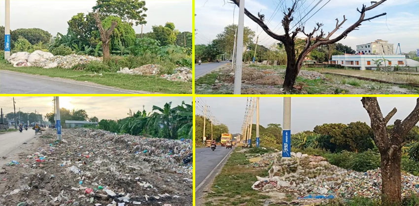 বর্জ্য ফেলছে মহাসড়কে, মারা যাচ্ছে গাছপালা