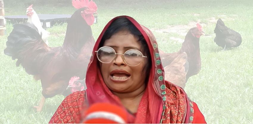 দেশি মুরগি খেতে না পারা প্রসঙ্গে ‘ব্যক্তি শাহিনুর নয়, শিক্ষকদের কষ্ট বোঝাতে চেয়েছি’