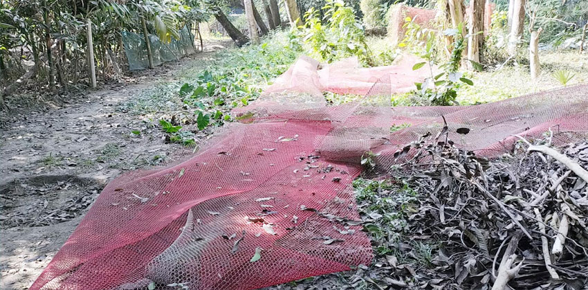 কচুয়ায় জমি সংক্রান্ত বিরোধে বিধবা নারীকে হয়রানির অভিযোগ