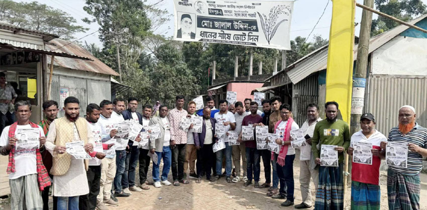 মতলব উত্তরে মোহনপুরে ধানের শীষের ব্যাপক প্রচারণা ও মিছিল