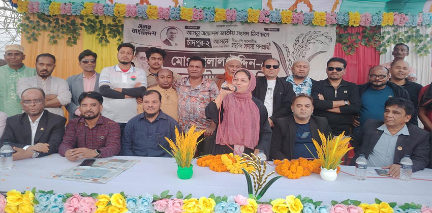 মতলব দক্ষিণে ধানের শীষের পক্ষে গণসংযোগ ও পথসভা