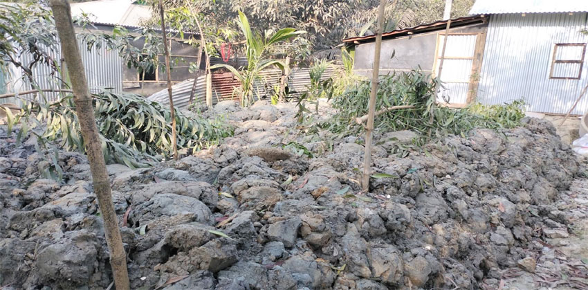 কচুয়ায় জমিজমা বিরোধীদের জের ধরে গাছ চারা কেটে ফেলার অভিযোগ