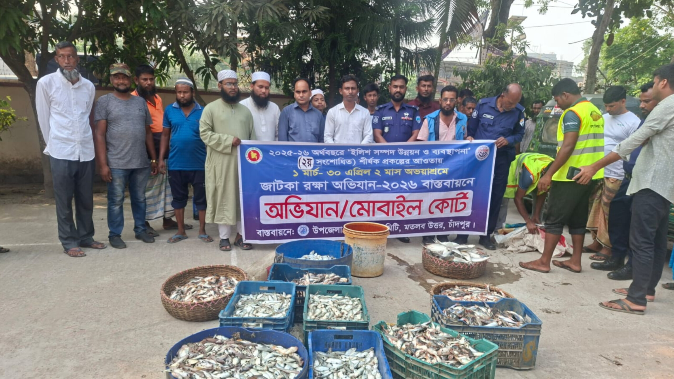 মতলবে বিভিন্ন বাজারে অভিযান চালিয়ে ৮০০ কেজি জাটকা ও পাঙ্গাসের পোনা মাছ জব্ধ