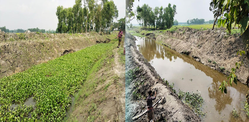 মরাখালে প্রাণের স্রোত: কচুয়ার দু’টি খাল খননে কৃষকের মুখে হাসি
