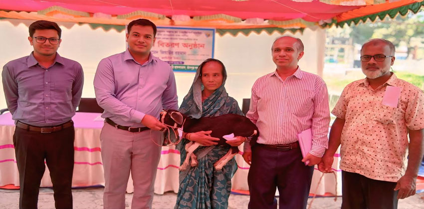 ছাগল পালন স্বল্প পুঁজিতে আয় বৃদ্ধির একটি টেকসই মাধ্যম : ইউএনও জামিউল হিকমা