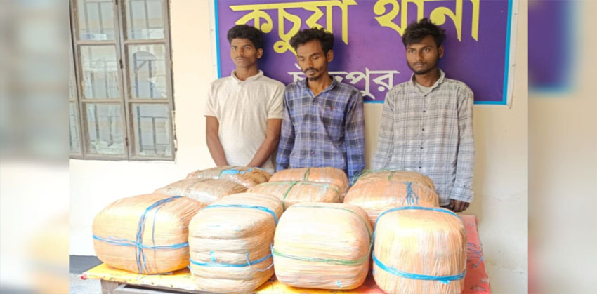 কচুয়ায় র‍্যাবের অভিযানে কাভার্ড ভ্যানে মিলল ৫০ কেজি গাঁজা, গ্রেপ্তার ৩