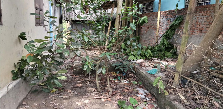 কচুয়ায় পৈত্রিক সম্পত্তি দখলে যেতে পারছেন না অসহায় পরিবার