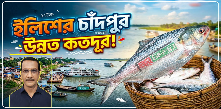ইলিশের চাঁদপুর উন্নত কতদূর!
