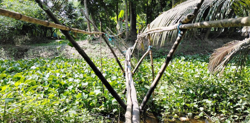 ঝুঁকির সাঁকো পেরিয়ে স্কুল-হাট-বাজার, দুর্ভোগে কচুয়ার দুই গ্রামের বাসিন্দারা