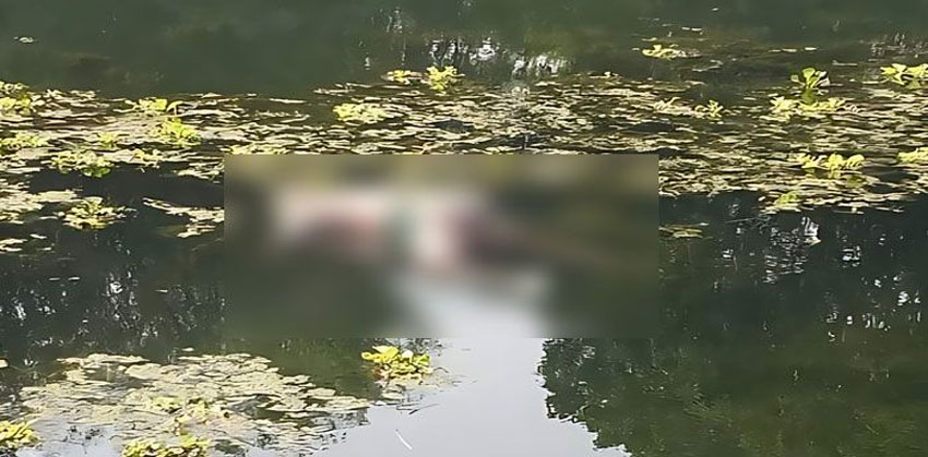 ফরিদগঞ্জে পুকুরে ভাসছিল বৃদ্ধের ম’রদে’হ