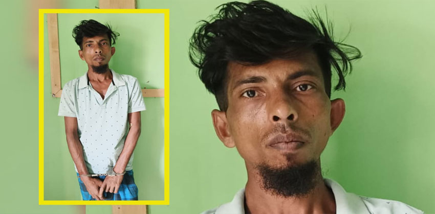 কচুয়ার চিহ্নিত মাদক ব্যবসায়ী হাবিব ফকির গাঁজাসহ গ্রেপ্তার