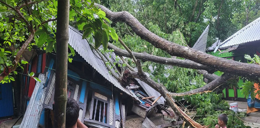 শাহরাস্তিতে কালবৈশাখীর তাণ্ডব, জনজীবন বিপর্যস্ত