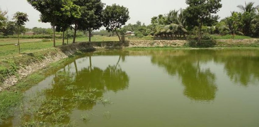 শাহরাস্তিতে পুকুরে ডুবে ১৭ মাসের শিশুর মৃত্যু