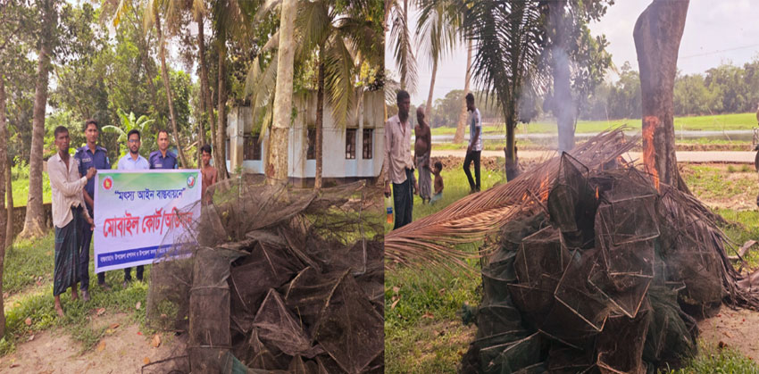 শাহরাস্তিতে ডাকাতিয়ায় প্রশাসনের অভিযানে নিষিদ্ধ চায়না দুয়ারি ও রিং জাল ধ্বংস