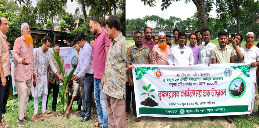 প্রধানমন্ত্রীর উদ্যোগে কচুয়া পৌরসভায় বৃক্ষরোপণ কর্মসূচি