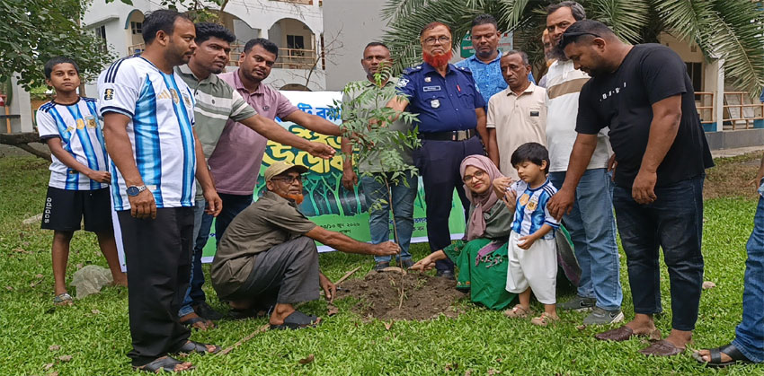 প্রধানমন্ত্রীর নির্দেশনা বাস্তবায়নে মতলব উত্তরে বৃক্ষরোপণ কর্মসূচির উদ্বোধন