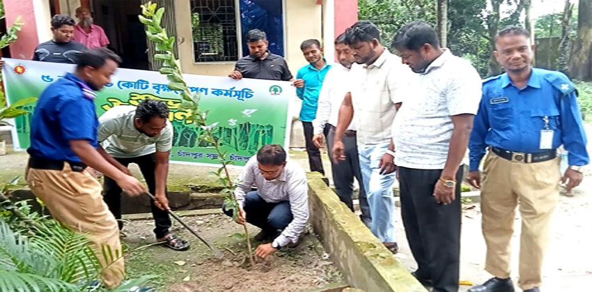 প্রধানমন্ত্রীর ২৫ কোটি বৃক্ষরোপণ কর্মসূচি বাস্তবায়নে শাহমাহমুদপুরে বৃক্ষরোপণের উদ্বোধন