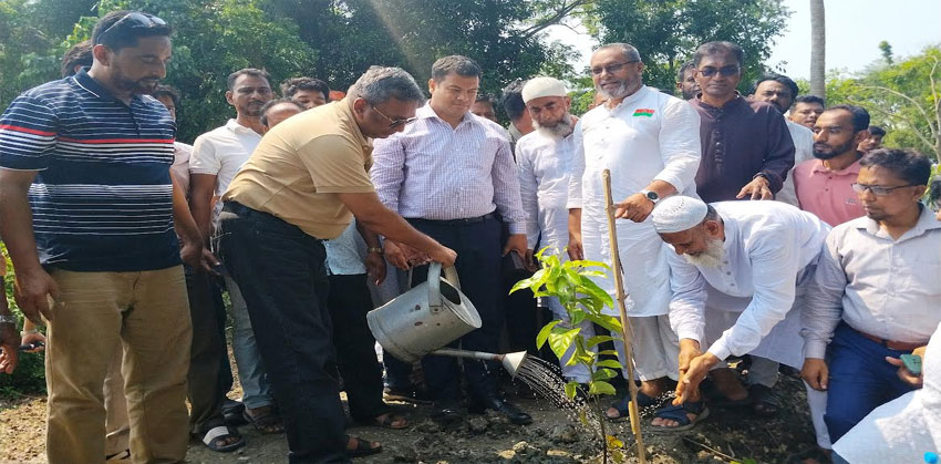 চাঁদপুর বিশ্বখাল এলাকায় বৃক্ষরোপণ কর্মসূচির উদ্বোধন করলেন এমপি মানিক