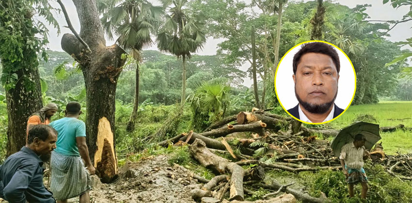 ফরিদগঞ্জে ১লাখ ৩০ হাজার টাকায় সরকারি গাছ বিক্রি; সাবেক ইউপি চেয়ারম্যানের বিরুদ্ধে থানায় লিখিত অভিযোগ