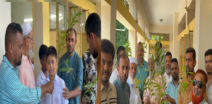 হাজীগঞ্জের বাড্ডায় শিক্ষার্থীদের মাঝে বৃক্ষের চারা বিতরণ