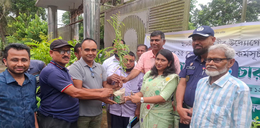 শাহরাস্তি পৌরসভার উদ্যোগে ১৭ প্রতিষ্ঠানে ৩৩৮টি চারা বিতরণ