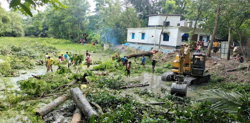 কচুয়ায় এক নিরীহ পরিবারের জোরপূর্বক গাছ কাটার অভিযোগ