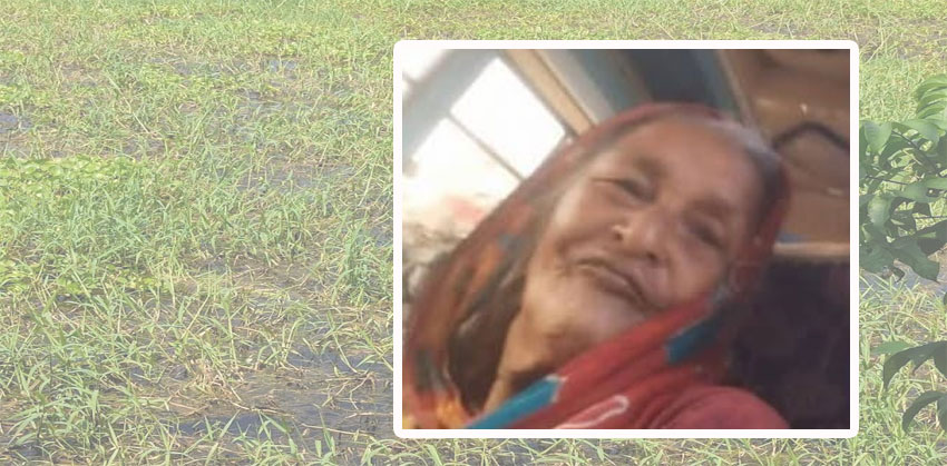 মতলবে নিখোঁজের চারদিন পর ফসলি জমি থেকে বৃদ্ধার লা’শ উদ্ধার