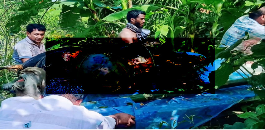 শাহরাস্তিতে দুর্বৃত্তের আ’গুনে পু’ড়ে ৩ গরুর মৃ’ত্যু, হৃদরোগে আক্রান্ত খামারি!