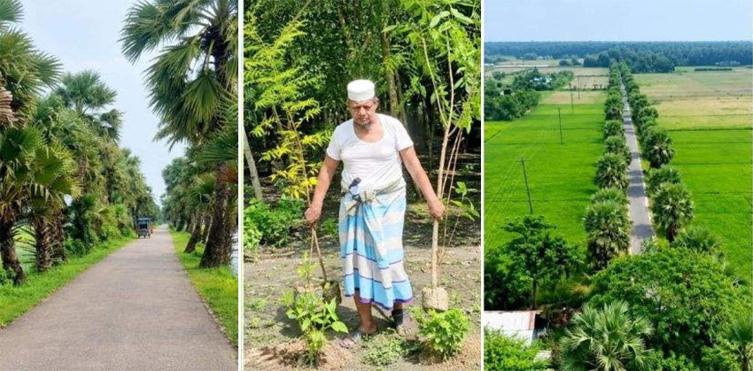 ৩০ বছর ধরে গাছ লাগিয়ে গ্রামের সড়কের চিত্র বদলে দিলেন মসজিদের ইমাম রেজাউল